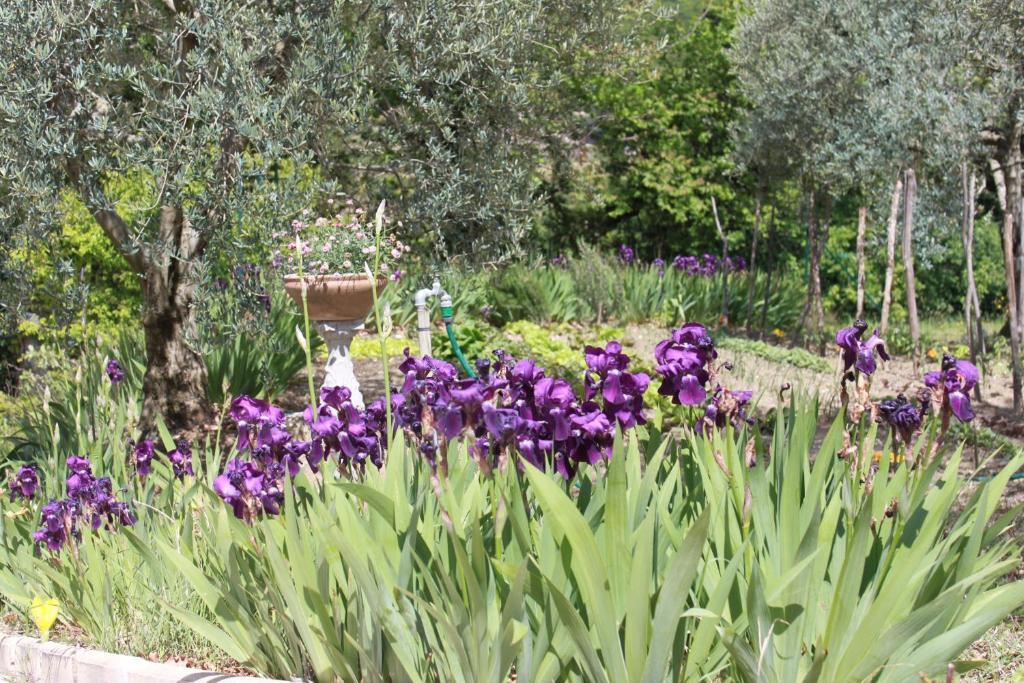 Amour Provence Séguret Dış mekan fotoğraf