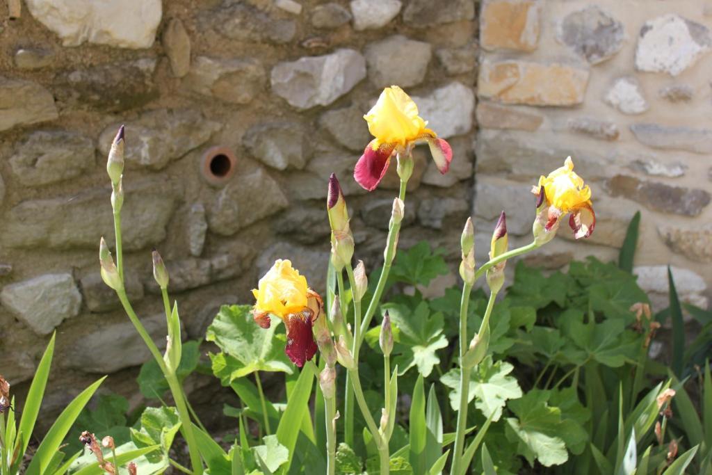 Amour Provence Séguret Dış mekan fotoğraf